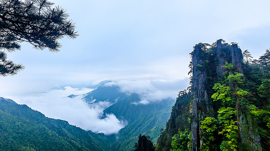 雲中姐妹