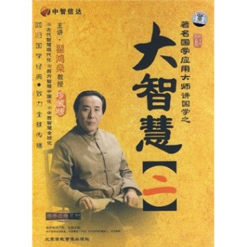 大智慧2(4VCD+4CD)