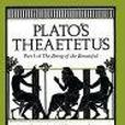 Plato\x27s Theaetetus