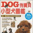 DOG狗寶貝-小型犬圖鑑