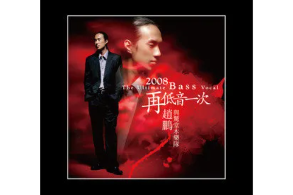 明月千里寄相思(趙鵬《2008再低一次》專輯中的歌曲)