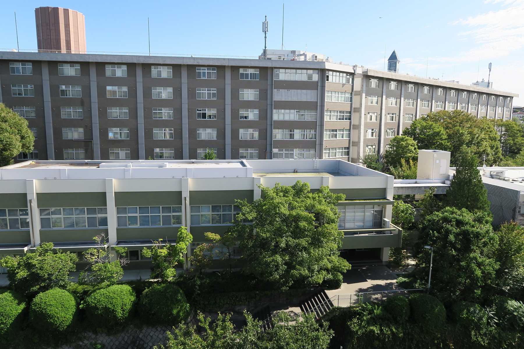 名古屋大學，校園