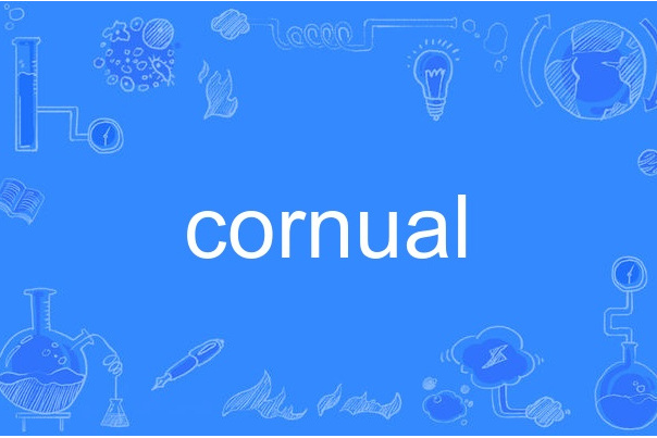 cornual