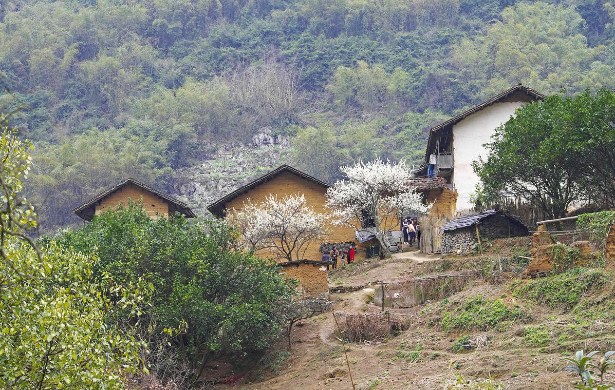 楊林村(湖北省武穴市石佛寺鎮下轄村)