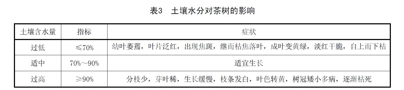 土壤水分對茶樹的影響