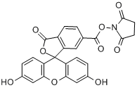 6-羧基螢光素琥珀醯亞胺酯