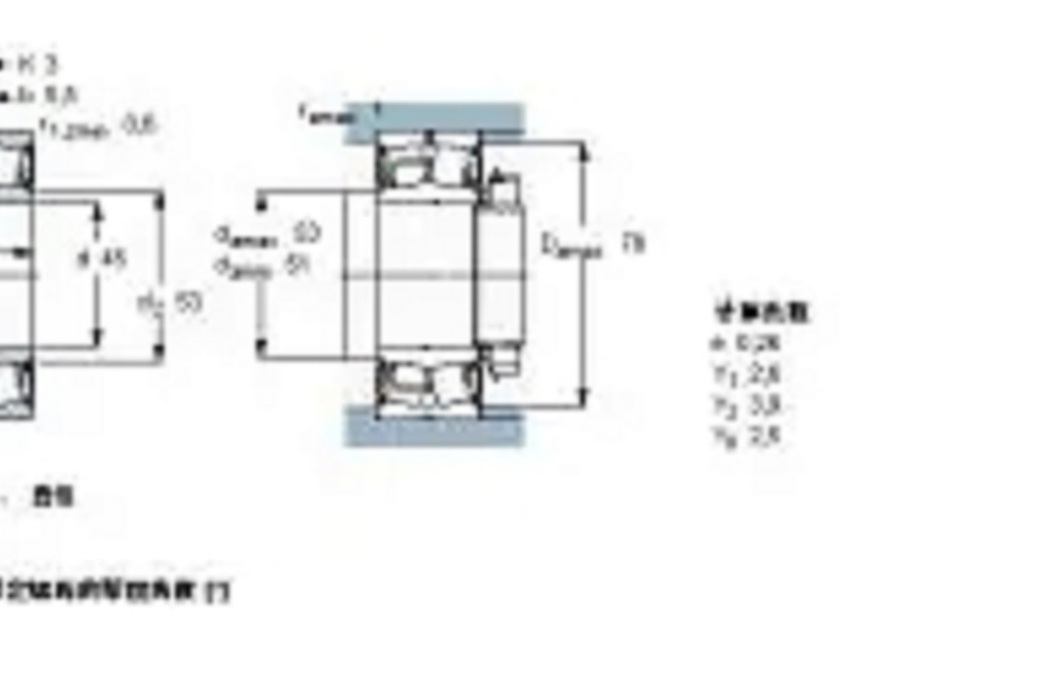 SKF BS2-2209-2CSK-VT143軸承