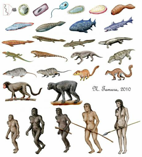 海洋生命的起源和早期進化