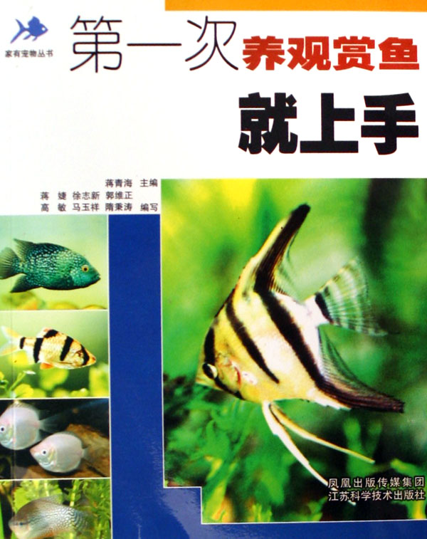 五彩琴尾魚