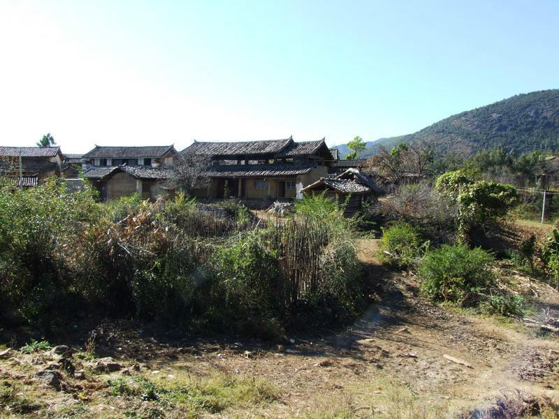 西坡村(山西省高平市陳區鎮下轄村)