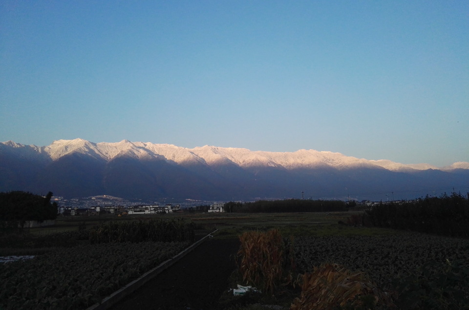 蒼山雪