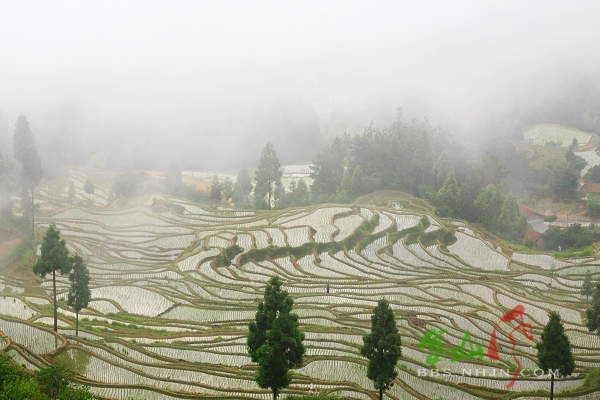 鄭坑村