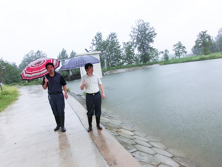 杭埠河舒城乾汊河鎮堤防