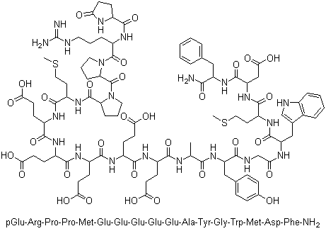 鼠胃泌素