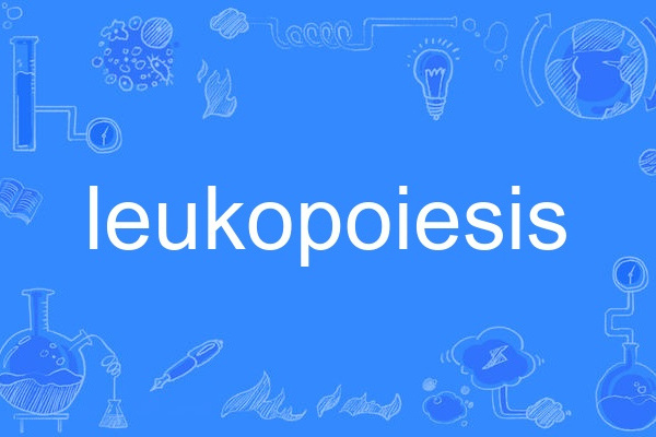 leukopoiesis