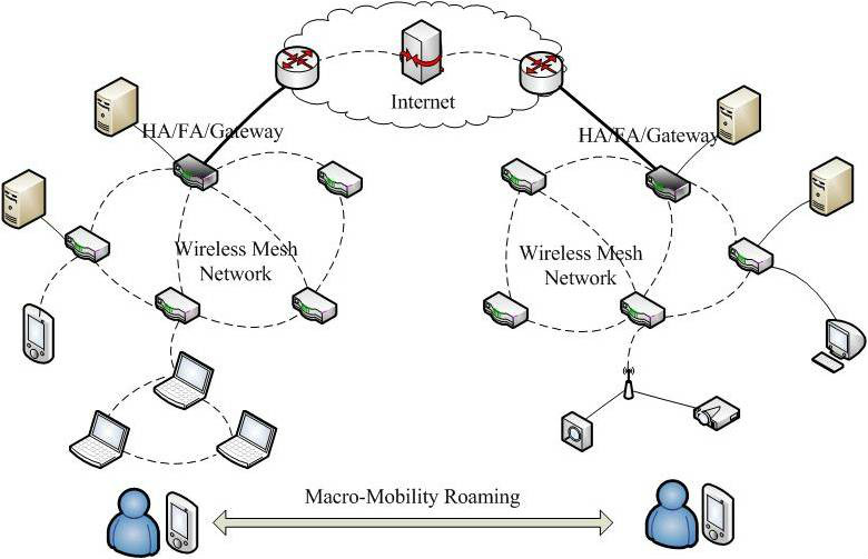 Mesh Network