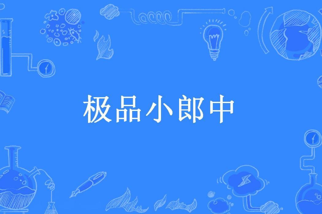 極品小郎中(子非魚所著小說)