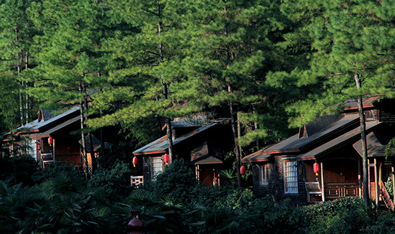 恩龍世界木屋村