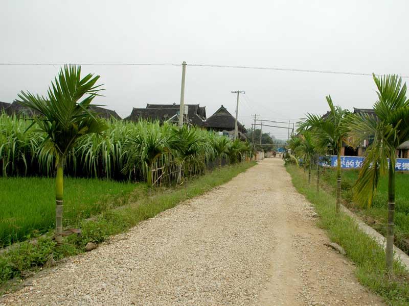 曼別村(雲南景洪市嘎灑鎮下轄村)