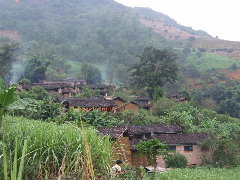 鴨子塘村(雲南臨滄市臨翔區下轄村)