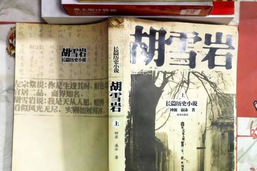 長篇歷史傳記小說：胡雪岩