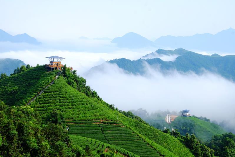 花山茶海景區