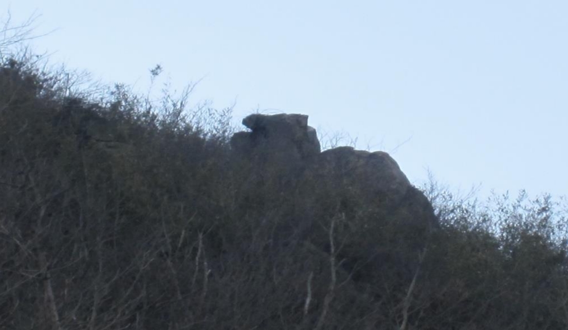 安徽當塗太白省級森林公園