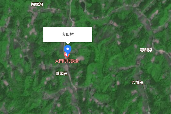 大田村(陝西省漢中市城固縣天明鎮下轄村)