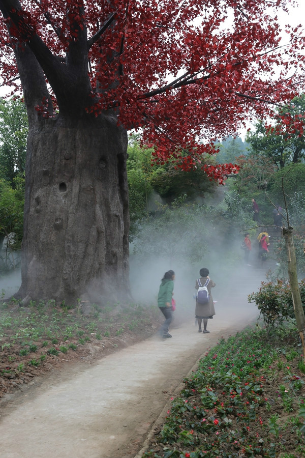 中國紅海生態旅遊景區