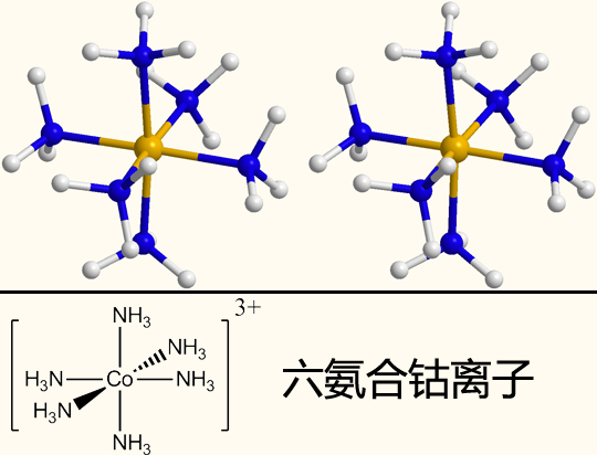 三氯化六氨合鈷的陽離子