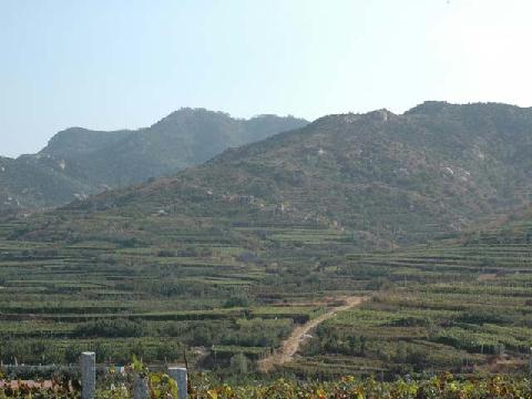 三山東頭村