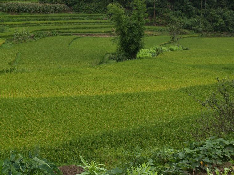 玉湖舊寨村