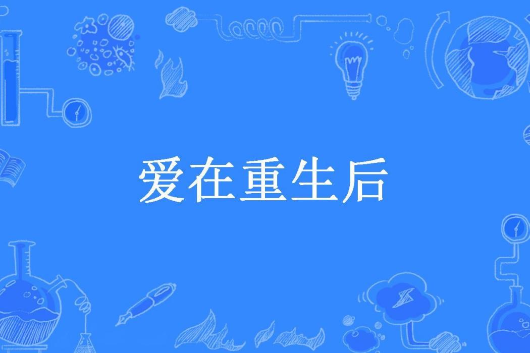 愛在重生後(妞妞可愛所著小說)