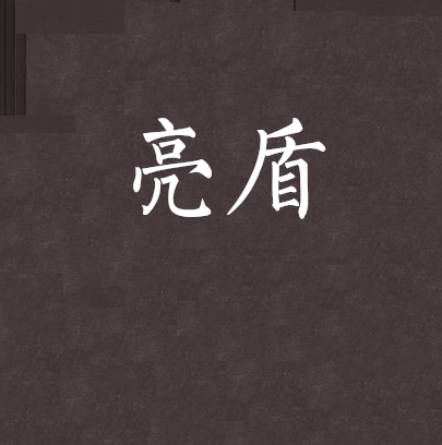 亮盾(米蘭船長創作的網遊類小說)