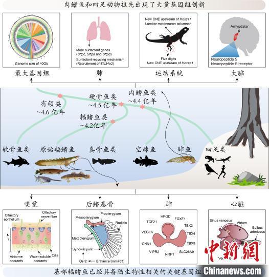 2021年度中國生命科學十大進展