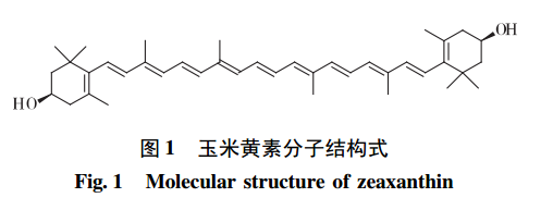 玉米黃