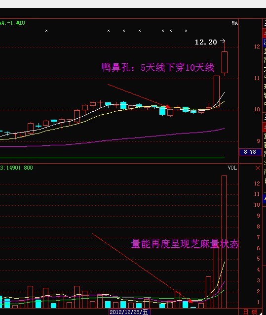 老鴨頭戰法