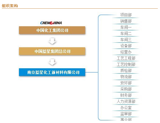 南京藍星化工新材料有限公司