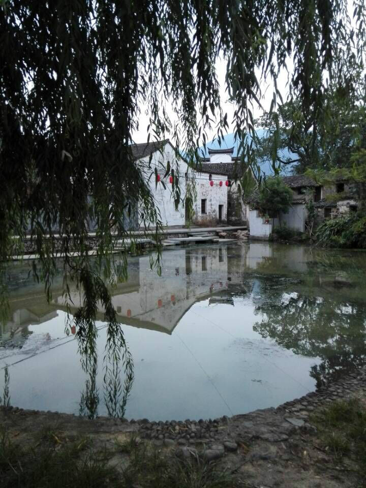 小池