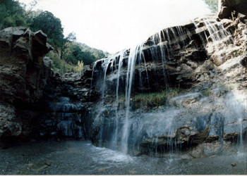 天龍山國家森林公園