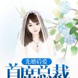 先婚後愛：首席總裁的逃妻