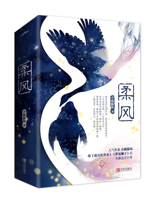 柔風(2019年青島出版社出版的圖書)