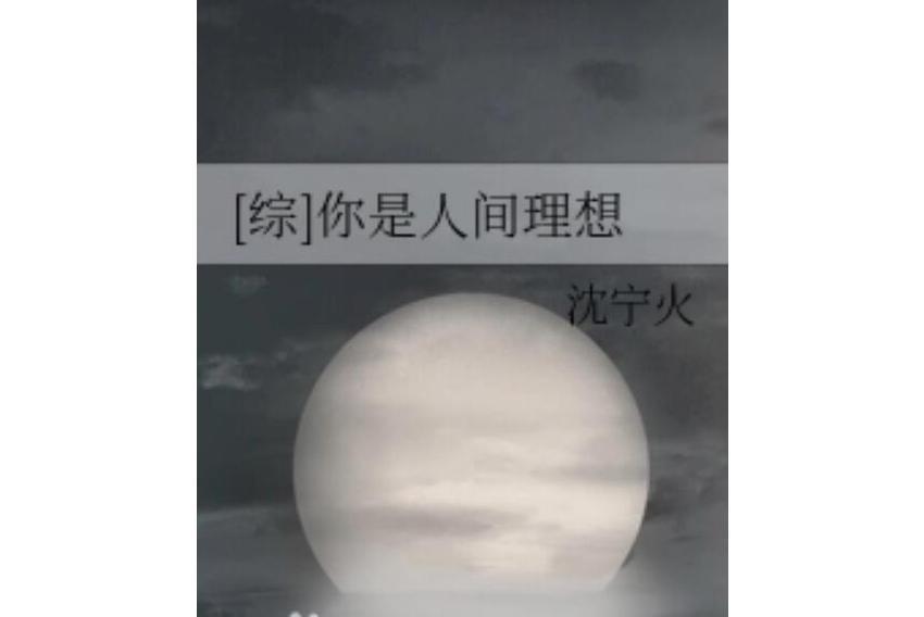 你是人間理想(沈寧火創作的小說作品)