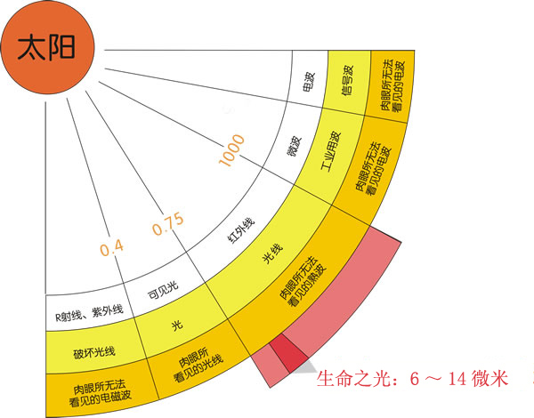 山東吉美電子科技有限公司