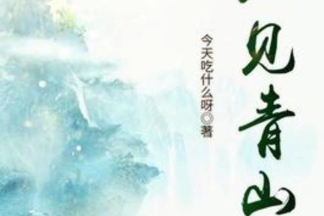 不見青山(今天吃什麼呀所著小說)