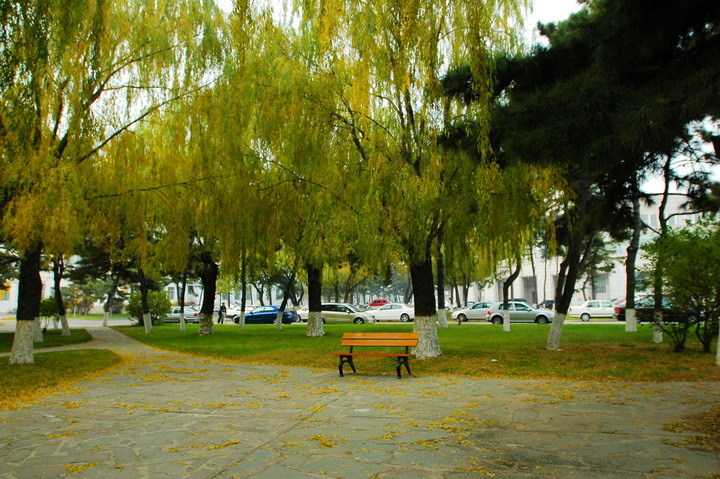 隕石山國家森林公園