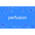 perfusion