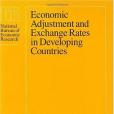 Economic Adjustment and Exchange Rates in Developing Countries (National Bureau of Economic Research Conference Report)