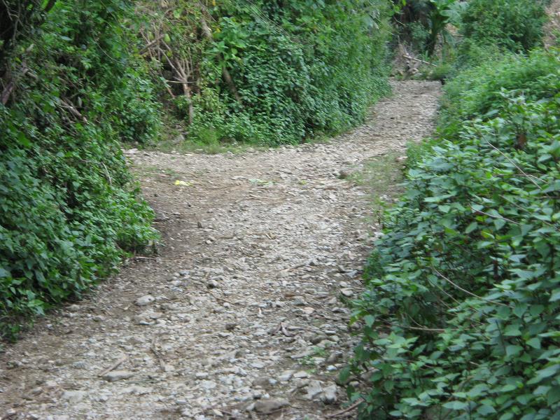 大地山自然村村內道路