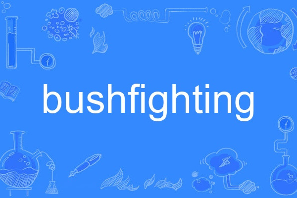 bushfighting